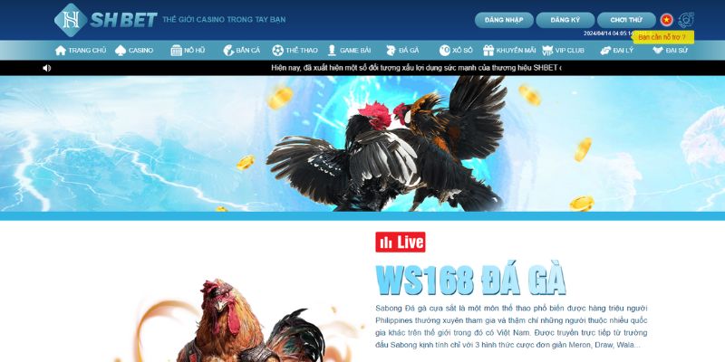 Anh em cần phải đăng ký rồi nạp tiền trước thì mới bắt đầu chơi đá gà